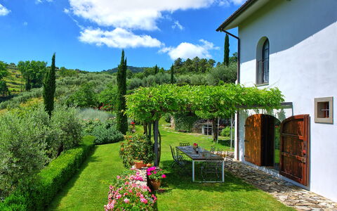 Villa Mami: Plante, Sky, Blomst, Himmel, Grøn, Vindue, Naturlige Landskab, Bygning, Land Lot, Vegetationen