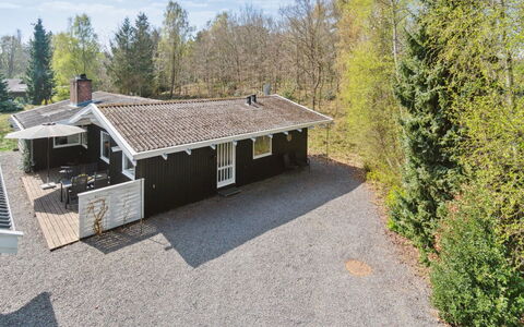 Gjertrud - 1Km from the Sea: Tag, Hus, Hjem, Sommerhus, Sidespor, Estate, Indkørsel, Garden Bygninger, Gård, Skur