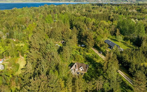 Niesina - 600M to the Fjord: Træ, Naturligt Miljø, Vegetationen, Landskab, Fugleperspektiv, Luftfotografering, Land Lot, Landdistrikt, Skov, Plantation