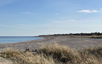 Skade - 10M from the Sea