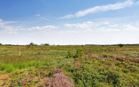Golubinka - 2.5Km from the Sea: Møbel, Indretning, Gulvbelægning, Etage, Loft, Værelse, Stol, Bord, Lejlighed, Køkken & Spisebord