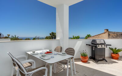 Mirador Alto