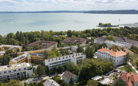 Lily: Træ, Fugleperspektiv, Boligområde, City, Byområde, Landskab, Luftfotografering, Kvarter, Coastal Og Oceaniske Landskabsformer, Urban Design