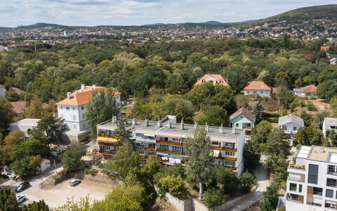 Lily: Daytime, Træ, Boligområde, Kvarter, Hjem, Menneskelig Bosættelse, Lejlighed, Forstad