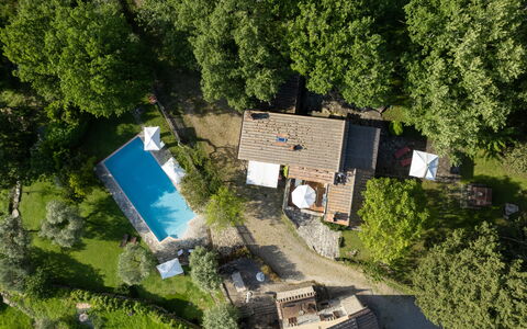 Villa Ida: Plante, Ejendom, Bygning, Træ, Arkitektur, Vegetationen, Vindue, Græs, Urban Design, Sommerhus