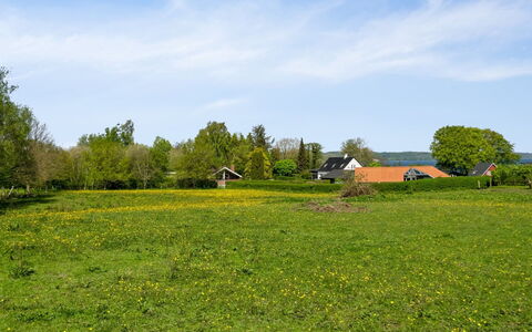 Sölvy - 300M from the Sea: Himmel, Grøn, Græs, Træ, Græs-, Gul, Naturlige Landskab, Almindeligt, Sommer