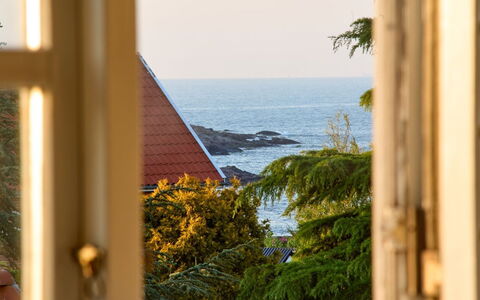 Hebba - 125M from the Sea: Træ, Møbel, Lejlighed, Værelse, Loft, Bejdse, Stol, Hårdttræ, Klarlak, Tømmer