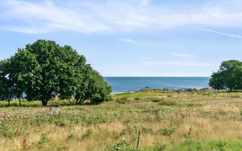 Leoni - 115M from the Sea: Træ, Tag, Arkitektur, Hjem, Hus, Sommerhus, Sidespor, Hårdttræ, Hældning, Estate