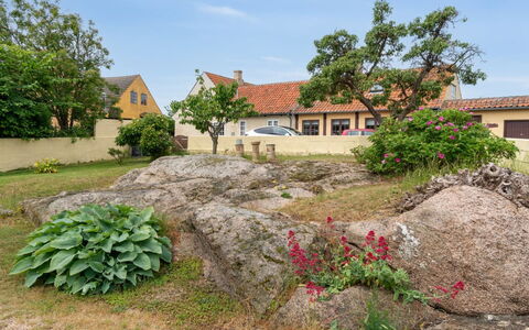Øde - 100M from the Sea: Græs, Græs-, Landskab, Økoregion, Almindeligt, Plantesamfund, Land Lot, Udendørs Møbler, Prærie, Shrubland