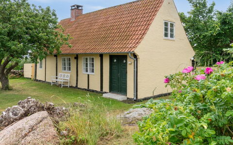Øde - 100M from the Sea: Græs, Græs-, Landskab, Økoregion, Almindeligt, Plantesamfund, Land Lot, Udendørs Møbler, Prærie, Shrubland