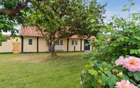 Øde - 100M from the Sea: Græs, Græs-, Landskab, Økoregion, Almindeligt, Plantesamfund, Land Lot, Udendørs Møbler, Prærie, Shrubland