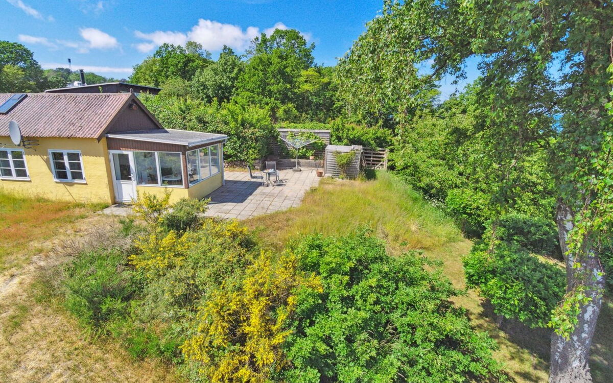 Throtti - 50M from the Sea