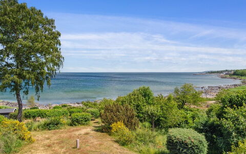 Throtti - 50M from the Sea: Blå, Vand, Krop Af Vand, Vegetationen, Kyst, Naturlige Landskab, Horisont, Coastal Og Oceaniske Landskabsformer, Hav, Sommer