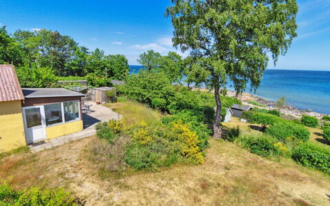 Throtti - 50M from the Sea: Træ, Tag, Arkitektur, Hjem, Hus, Sommerhus, Sidespor, Hårdttræ, Hældning, Estate