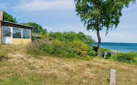 Throtti - 50M from the Sea: Træ, Tag, Arkitektur, Hjem, Hus, Sommerhus, Sidespor, Hårdttræ, Hældning, Estate