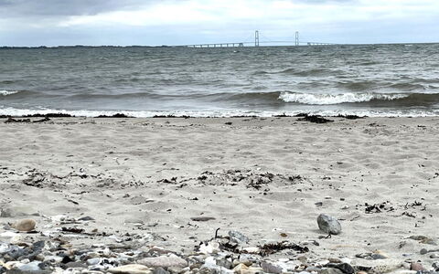 Manko - 250M from the Sea: Strand, Rots, Horisont, Kyst, Kyst, Hav, Coastal Og Oceaniske Landskabsformer, Sky