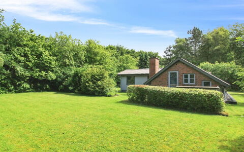 Ofrath - 30Km from the Sea: Græs, Grøn, Træ, Græs-, Busk, Hus, Sommerhus, Landskab, Have