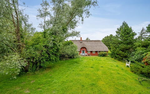 Wiss - 4.1Km from the Sea: Græs, Træ, Landdistrikt, Busk, Sommerhus, Tag, Almindeligt, Land Lot, Hjem, Bunddække