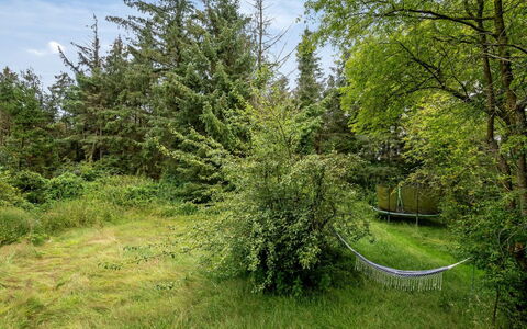 Wiss - 4.1Km from the Sea: Græs, Træ, Landdistrikt, Busk, Sommerhus, Tag, Almindeligt, Land Lot, Hjem, Bunddække