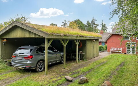 Wiss - 4.1Km from the Sea: Græs, Træ, Landdistrikt, Busk, Sommerhus, Tag, Almindeligt, Land Lot, Hjem, Bunddække