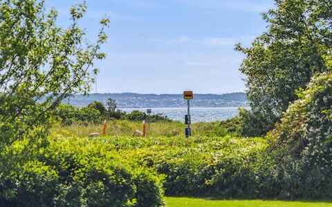 Hermund - 100M from the Sea: Himmel, Blå, Grøn, Natur, Græs, Blad, Vegetationen, Naturlige Landskab, Busk, Landskab