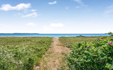 Dagny - 100M from the Sea: Blå, Grøn, Naturligt Miljø, Horisont, Sommer, Økoregion, Græs-, Hav, Plantesamfund, Ocean