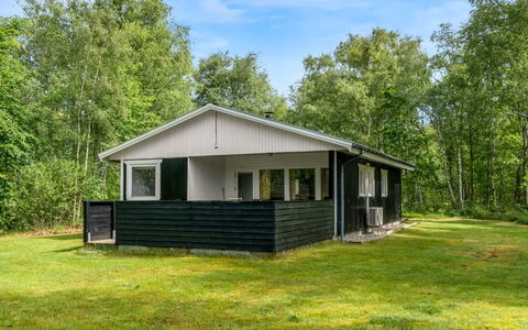 Lonneke - 800M from the Sea: Græs, Græs-, Land Lot, Sommerhus, Landdistrikt, Eng, Garden Bygninger, Have, Skur