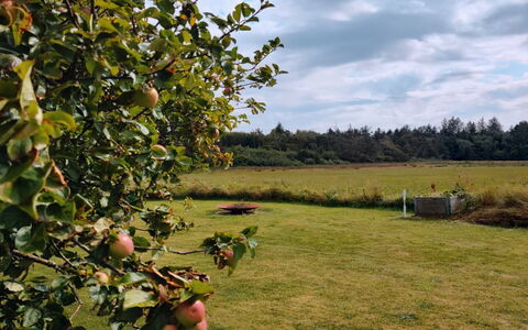 Cillvur - 8Km from the Sea: Møbel, Indretning, Gulvbelægning, Etage, Loft, Værelse, Stol, Bord, Lejlighed, Køkken & Spisebord