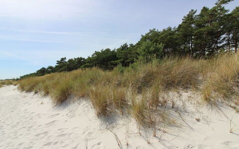Auvo - 200M from the Sea: Køkken, Countertop, Køkken Apparat, Gulvbelægning, Cabinetry, Indretning, Større Bandage, Etage, Hjem, Møbel