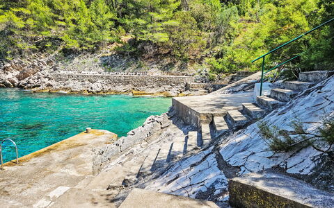 Hvar Gdinj 300: Vand, Vandressourcer, Plante, Naturlige Landskab, Træ, Træ, Vegetationen, Bedrock, Vandløb