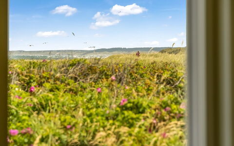Zina - 50M from the Sea: Hus, Hjem, Tag, Sommerhus, Estate, Landscaping, Garden Bygninger, Sidespor, Stuehus
