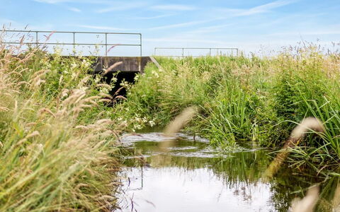 Saran - 30Km from the Sea: Blå, Busk, Sommerhus, Bunddække, Have, Estate, Skygge, Landscaping, Stuehus, Eco Hotel