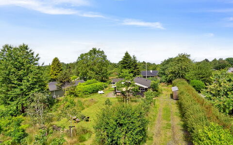 Thanee - 600M to the Fjord: Træ, Vegetationen, Busk, Landskab, Landdistrikt, Land Lot, Sommerhus, Have, Bunddække, Estate