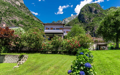 Angelina House: Plante, Himmel, Sky, Ejendom, Bygning, Blå, Natur, Azure, Blomst, Naturlige Landskab