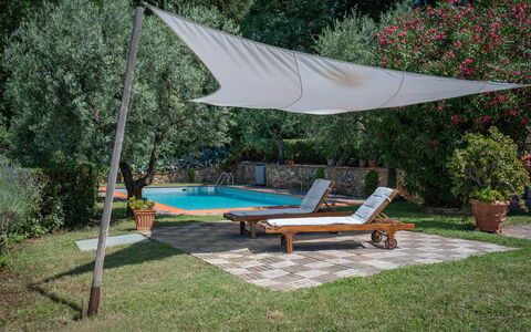 Chianti Hills Apartment, Pool, Ac: Plante, Vand, Bord, Skygge, Blomsterkrukke, Træ, Udendørs Møbler, Liggestol, Svømmepøl, Fritid