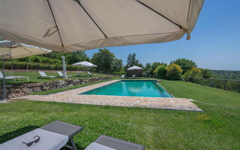 Chiara House In Galenda, Chianti, Pool And Nature: Ejendom, Plante, Vand, Bygning, Skygge, Udendørs Møbler, Svømmepøl, Paraply, Himmel, Rektangel