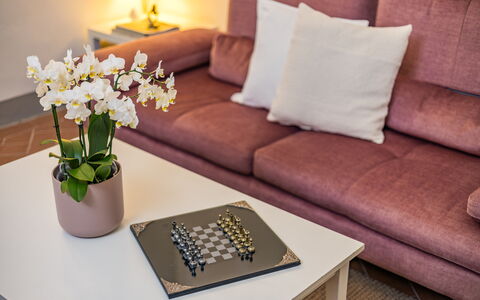 Rose's Palace: Blomst, Bord, Møbel, Ejendom, Plante, Couch, Hvid, Indretning, Komfort, Gul