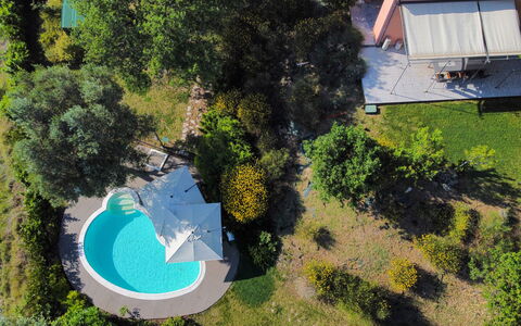 Villa Gelso: Plante, Ejendom, Plantesamfund, Azure, Land Lot, Biome, Græs, Urban Design, Fritid, Landskab