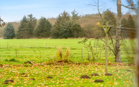 Thorgot - 3Km from the Sea: Grøn, Græs, Blad, Naturligt Miljø, Græs-, Naturlige Landskab, Almindeligt, Pasture, Land Lot, Eng