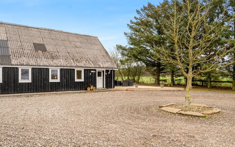 Thorgot - 3Km from the Sea: Tag, Sommerhus, Hjem, Stuehus, Sidespor, Lade, Skur