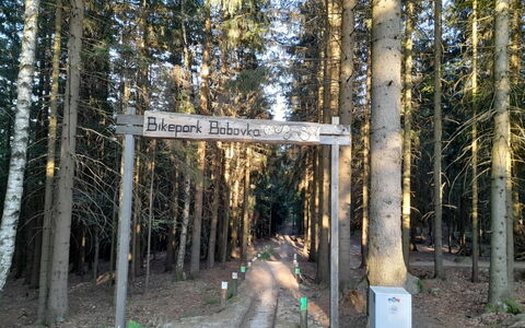 Desná V Jizerských Horách 841: Plante, Naturlige Landskab, Træ, Bagagerum, Biome, Færdselsåre, Træ, Terrestrisk Plant, Landskab, Løvtræ