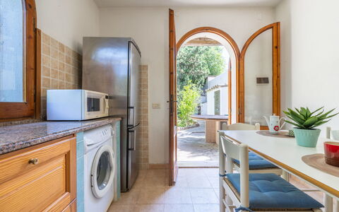 Approdo: Plante, Cabinetry, Ejendom, Countertop, Møbel, Stueplante, Blomsterkrukke, Bord, Køkken Apparat, Træ
