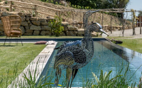 Villa Paradise: Vand, Plante, Træ, Bank, Græs