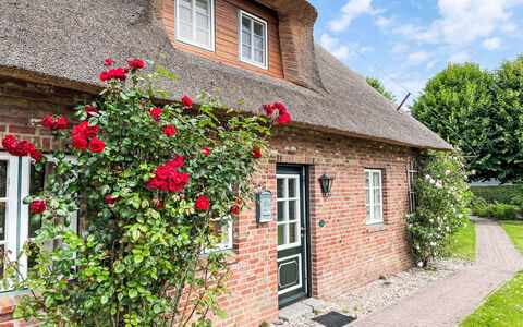 Laerchenshus: Plante, Blomst, Bygning, Vindue, Ejendom, Sky, Hus, Himmel, Sommerhus, Murværk