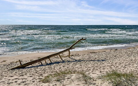 Nea - 600M from the Sea: Blå, Krop Af Vand, Strand, Træ, Kyst, Hav, Coastal Og Oceaniske Landskabsformer, Kyst, Ocean