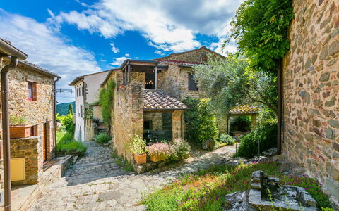 Il Cinghiale: Plante, Sky, Himmel, Vindue, Bygning, Land Lot, Vegetationen, Naturlige Landskab, Hus, Sommerhus