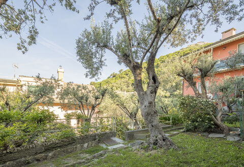 Pieve Ligure Seaside View, Wifi: Blad, Afdeling, Vegetationen, Busk, Forår, Kvist, Have, Estate, Gård, Landscaping