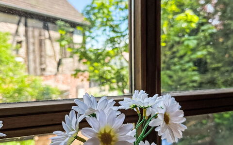 Das Kleine Paradies von Kata: Himmel, Plante, Bygning, Vindue, Træ, Træ, Land Lot, Sommerhus, Hus, Landskab