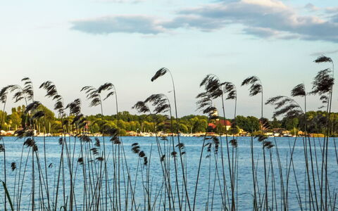 Bootshaus auf Dem See: Sø, Marsk, Reservoir, Afspejling