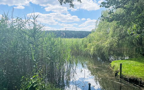 Am Pälitzsee: Himmel, Plante, Bygning, Vindue, Træ, Træ, Land Lot, Sommerhus, Hus, Landskab